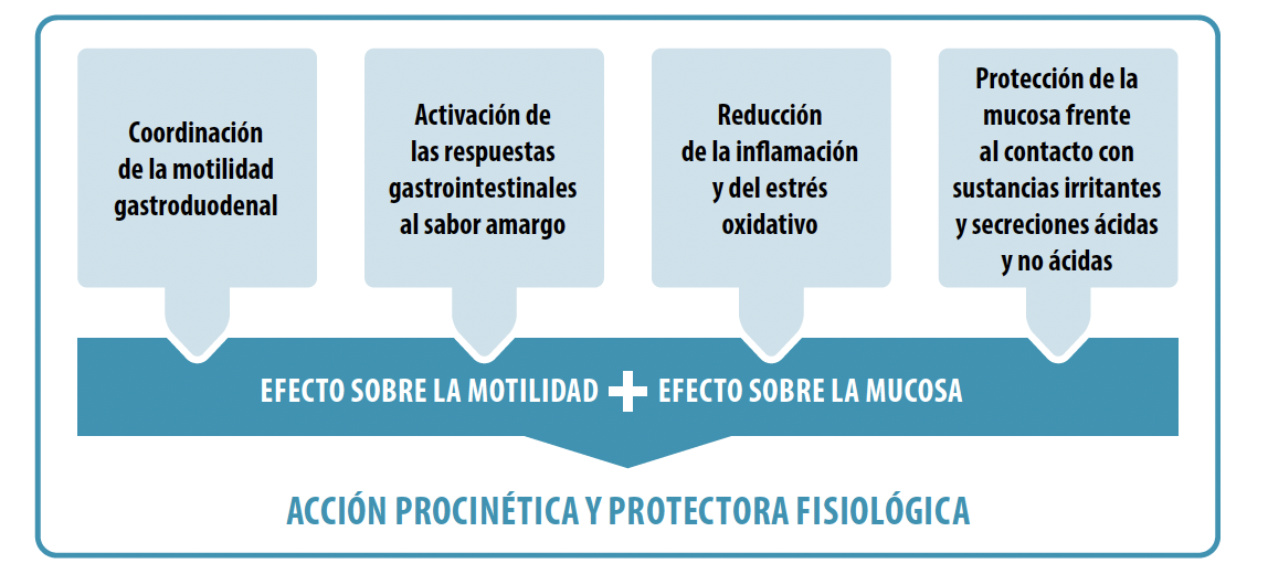 gastrodiger_accion